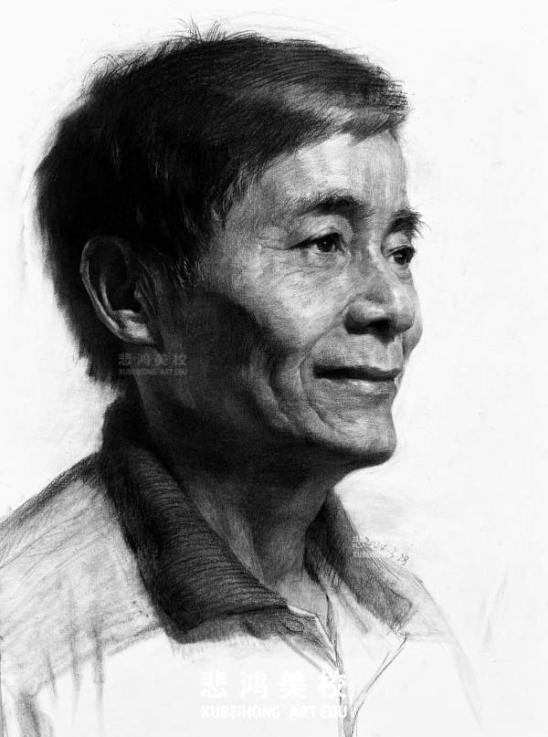 上海悲鸿美校素描高分示范.jpg